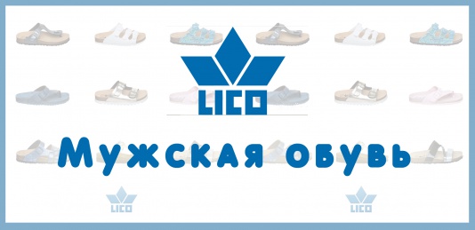 Мужская обувь
